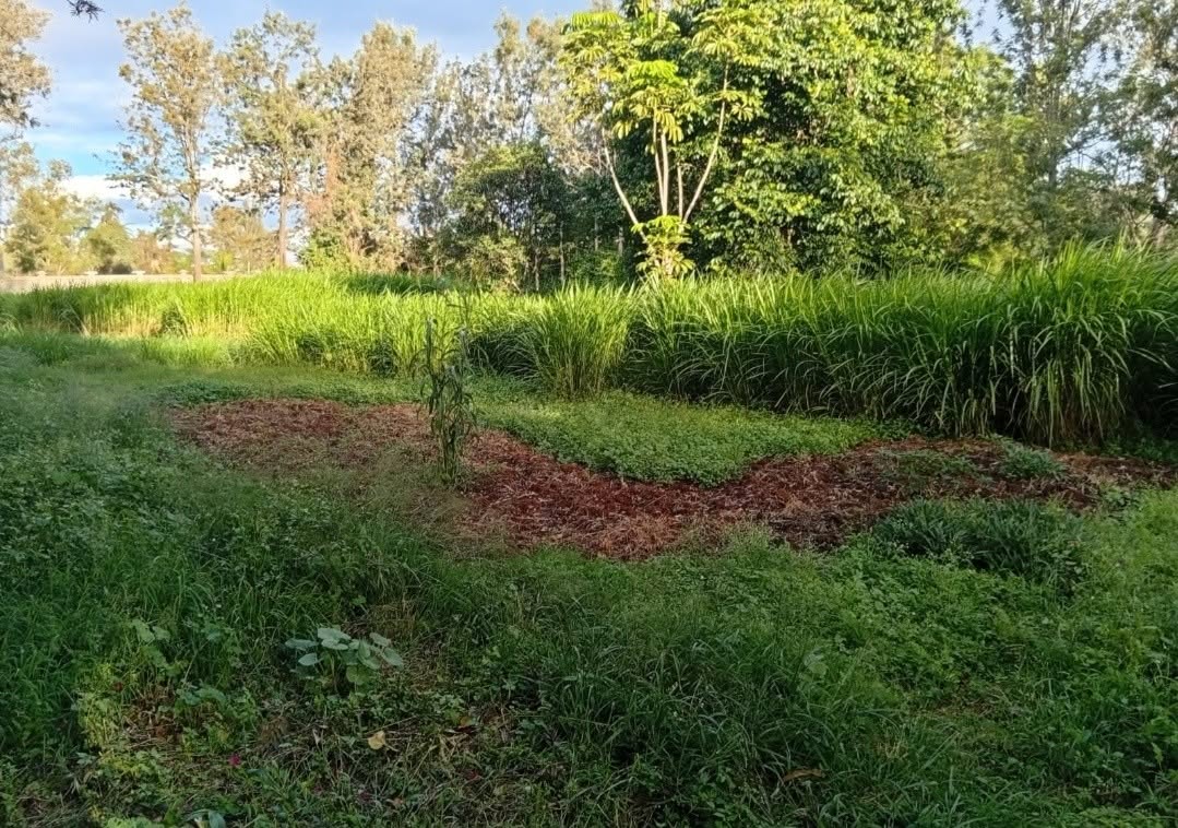 Prime 1.1 Acre Land For Sale in Karen, Bogani Image