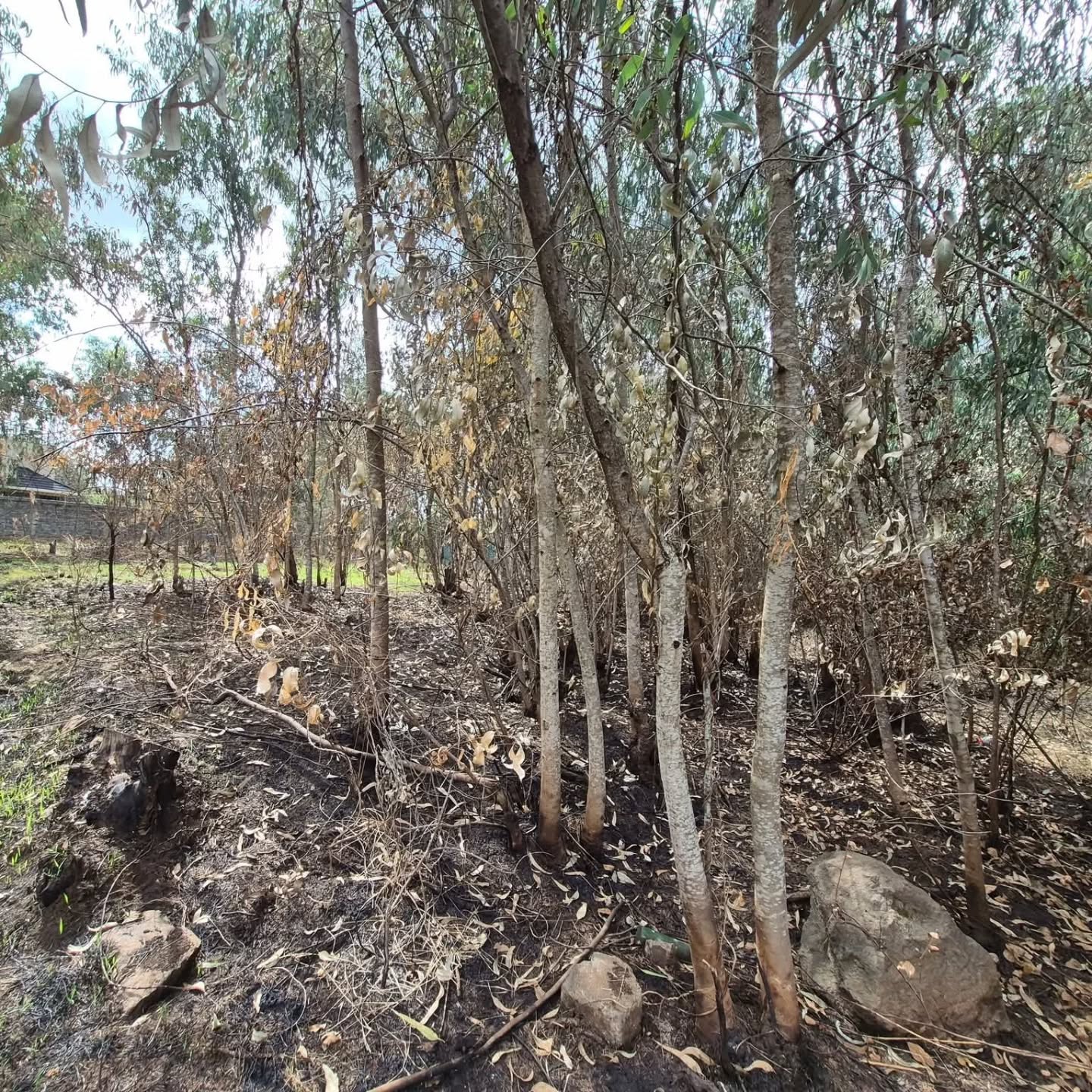 Prime 1/2 Acre Plot For Sale in Garden Estate