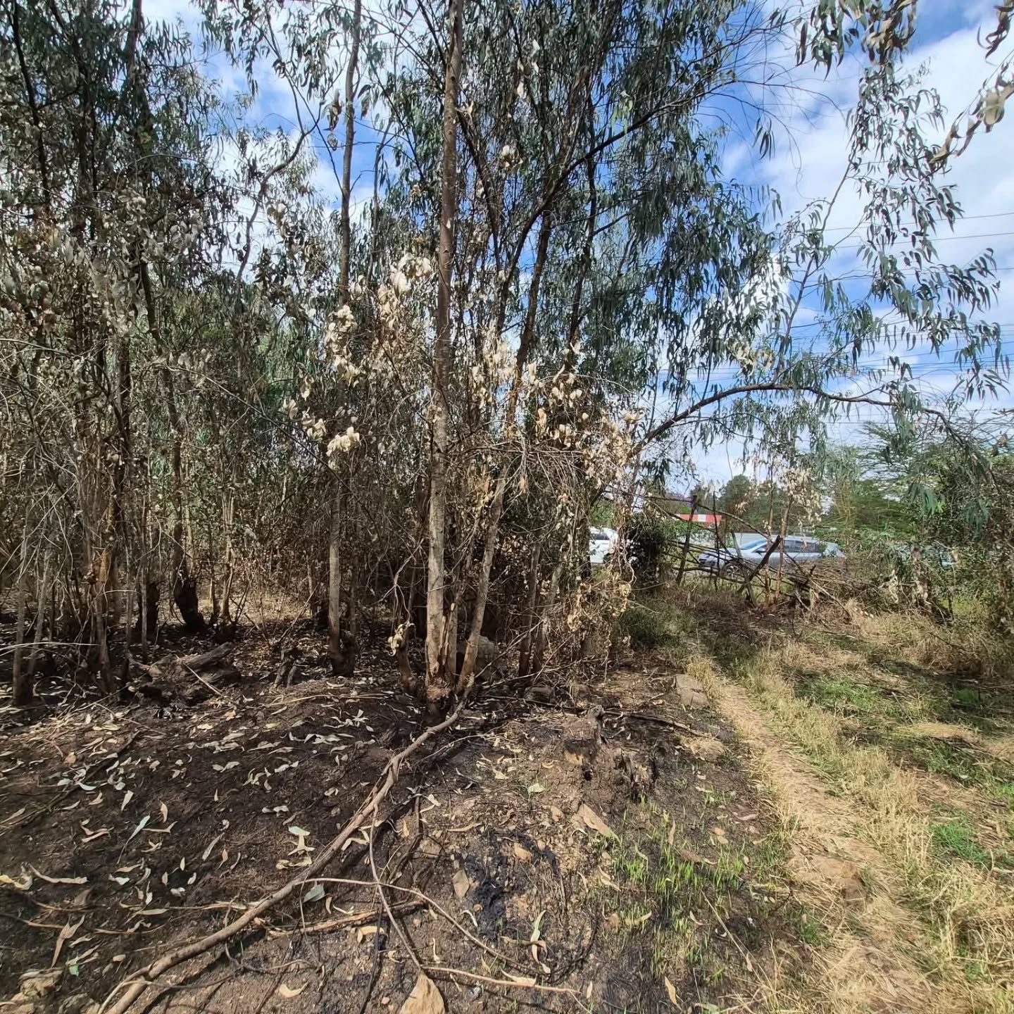 Prime 1/2 Acre Plot For Sale in Garden Estate Image