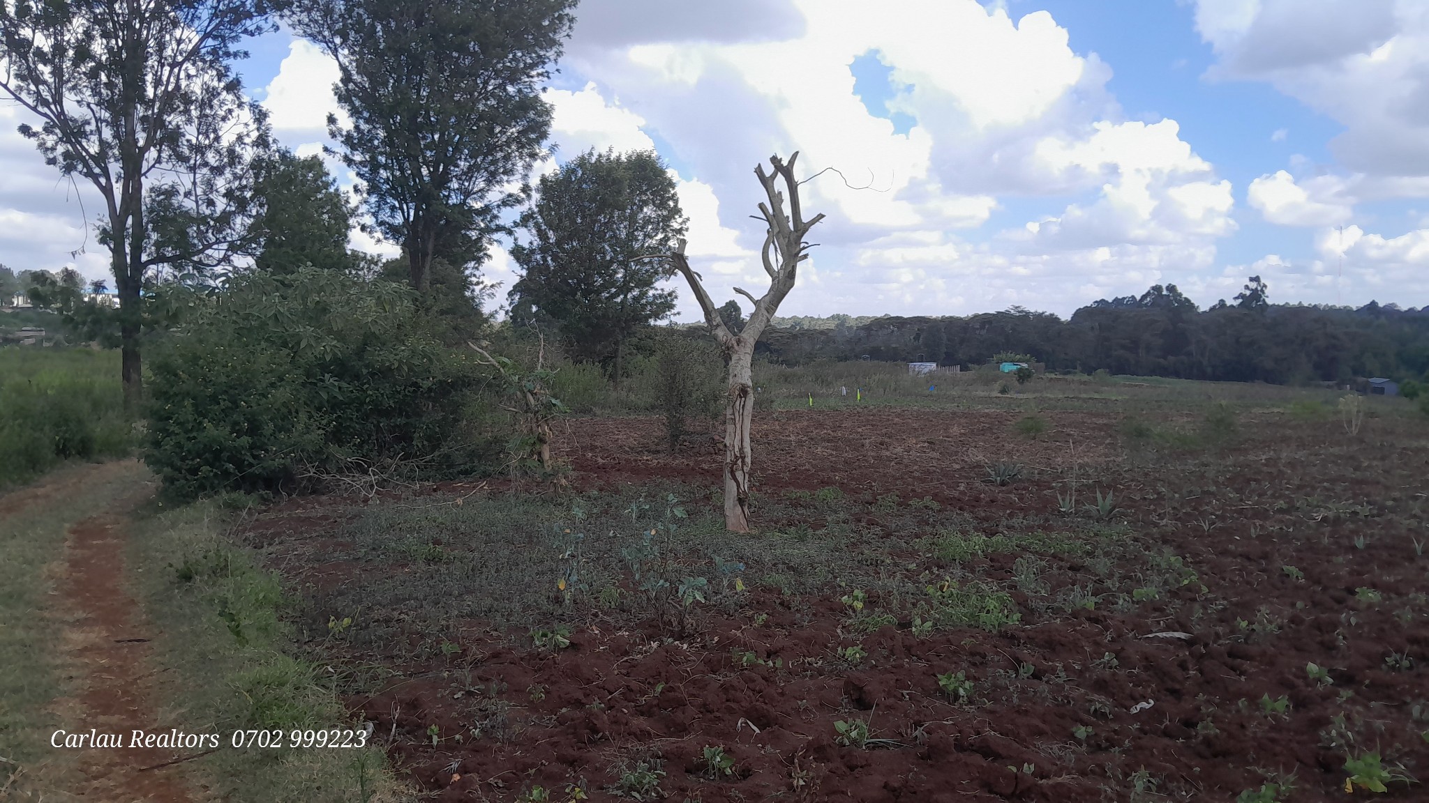 PRIME 12 ACRES LAND FOR SALE IN KERARAPON DRIVE Image