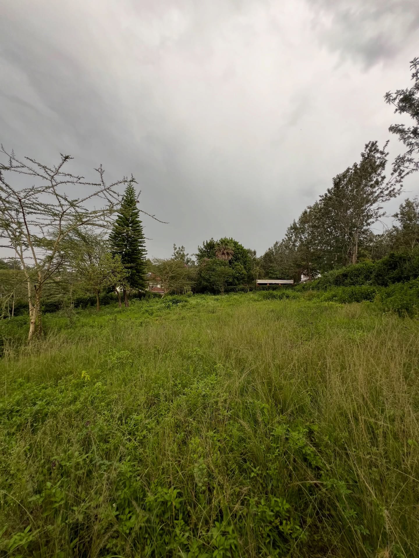Prime 1/2acre land for sale in the leafy suburb of karen area