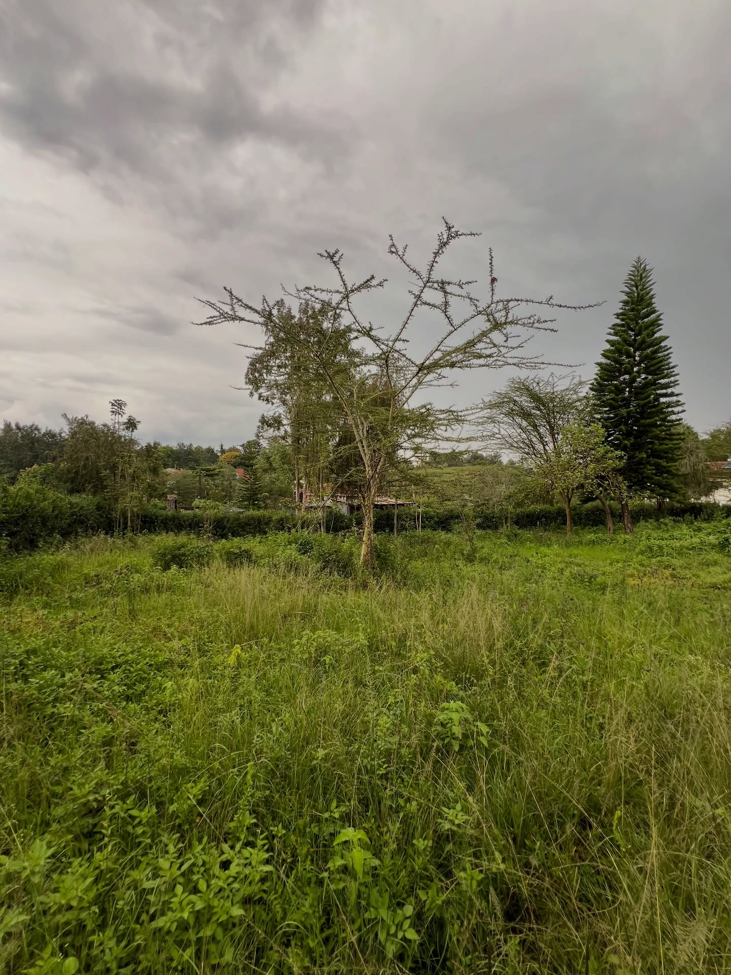 Prime 1/2acre land for sale in the leafy suburb of karen area Image