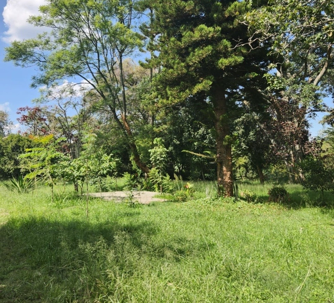 Prime 1.3 Acres Land For Sale in Karen Image