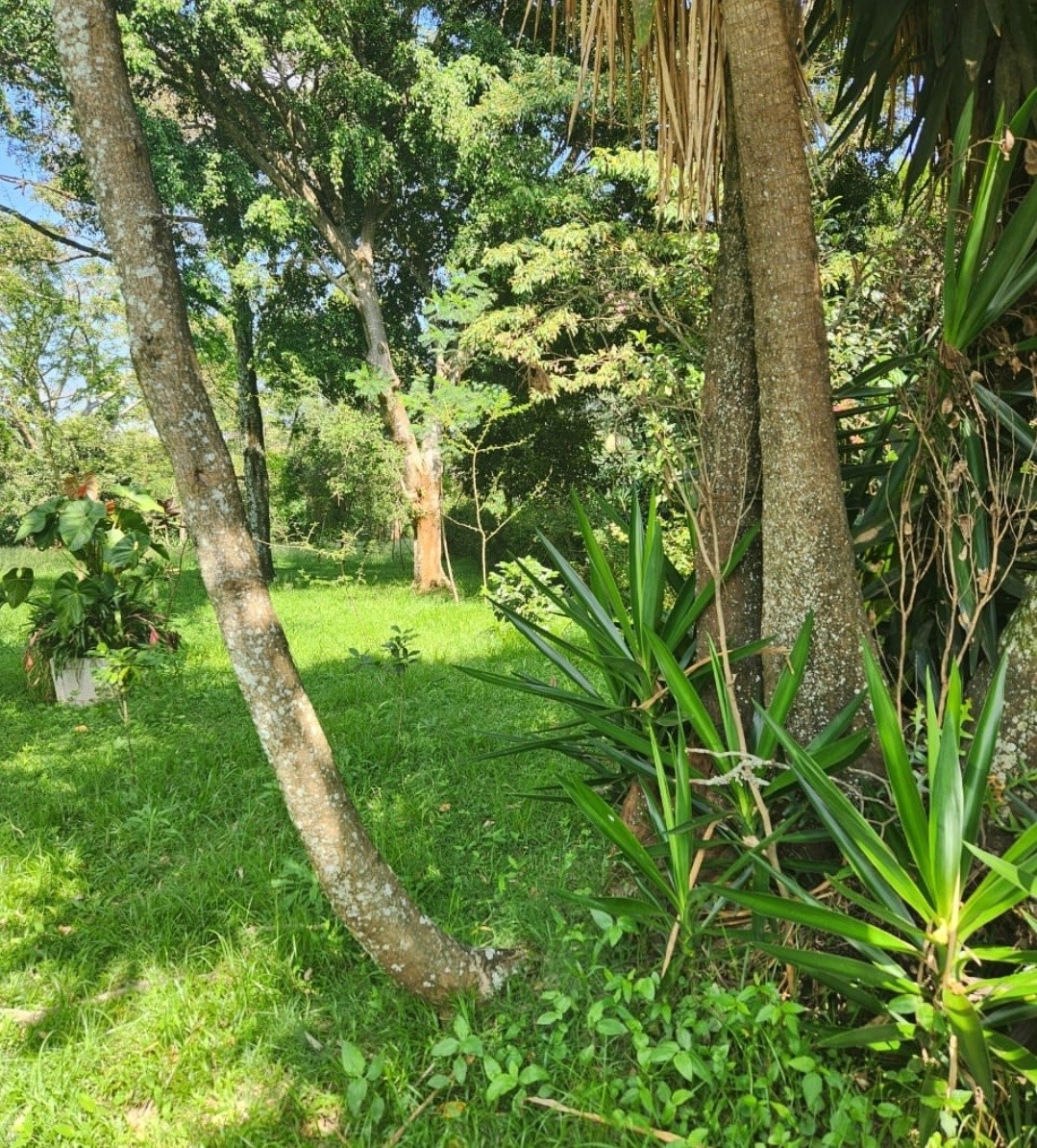 Prime 1.3 Acres Land For Sale in Karen Image