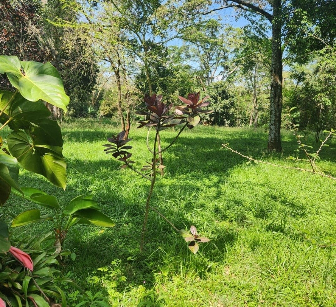 Prime 1.3 Acres Land For Sale in Karen