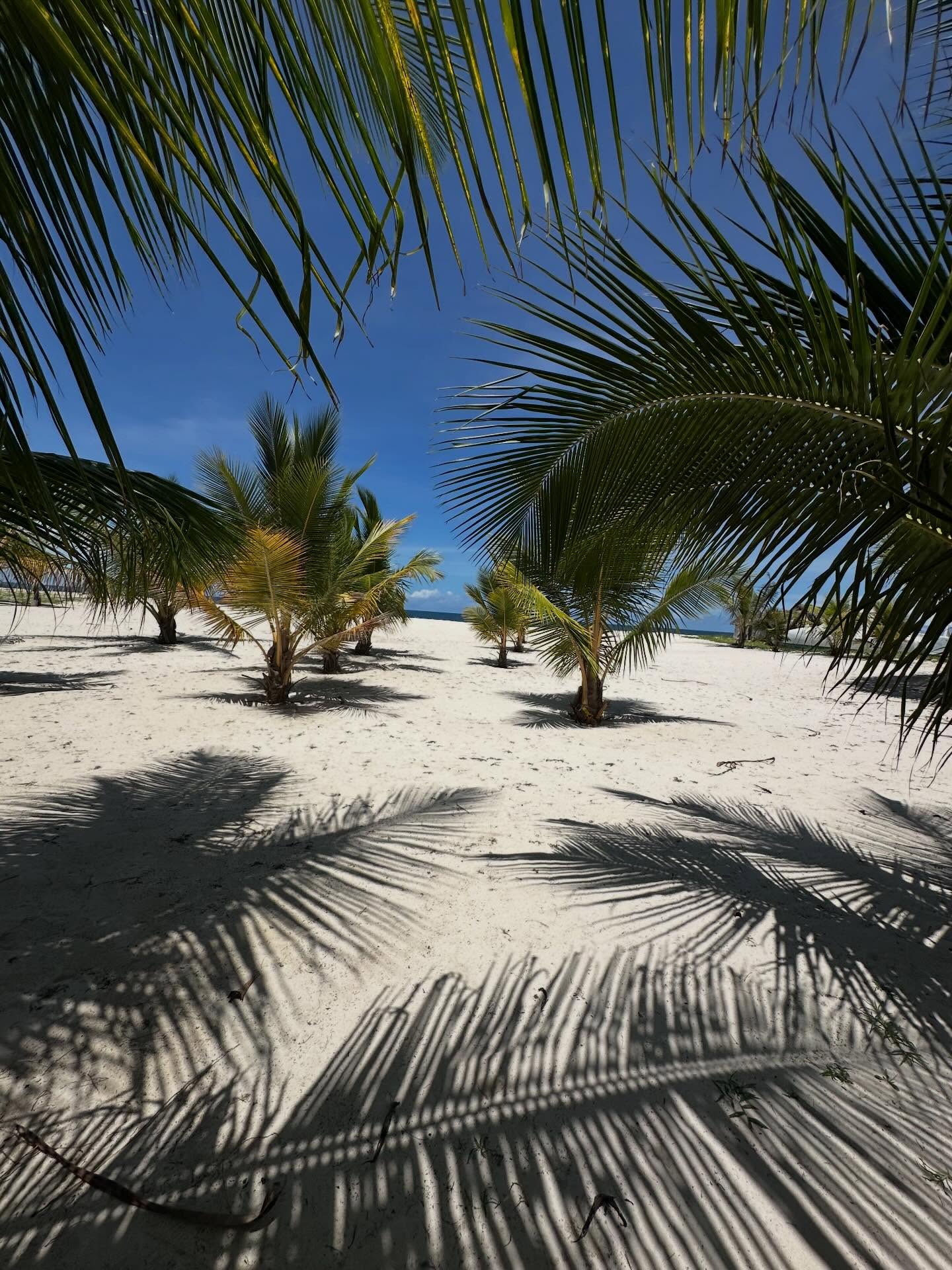 Prime 1/4 Acre Beach Plot for Sale – Galu Kinondo, Diani