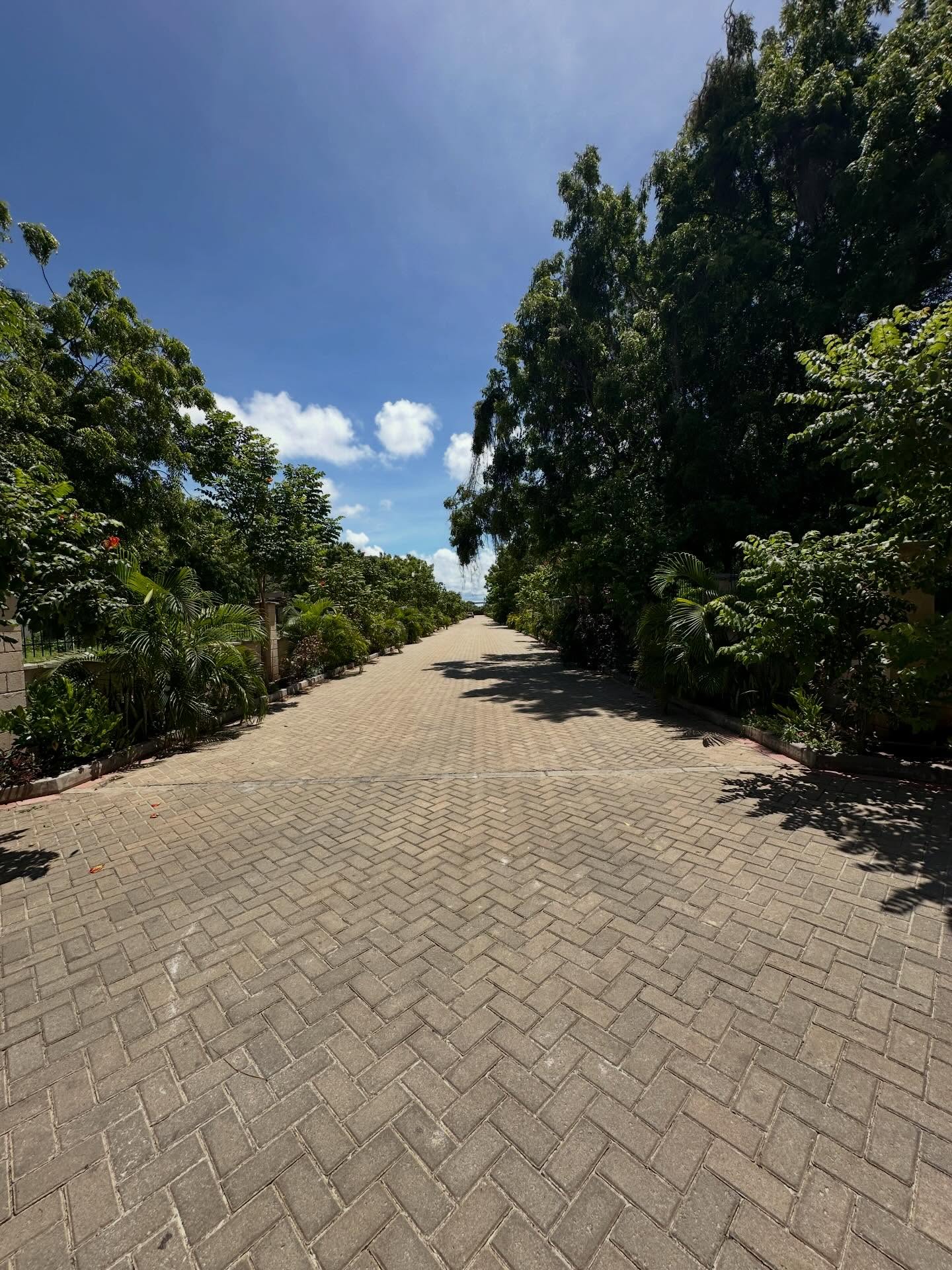 Prime 1/4 Acre Beach Plot for Sale – Galu Kinondo, Diani Image