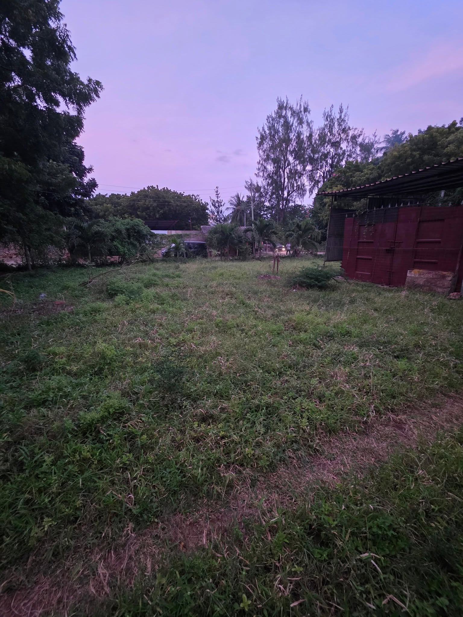 PRIME 1/4 ACRE PLOT FOR SALE – MTWAPA Image