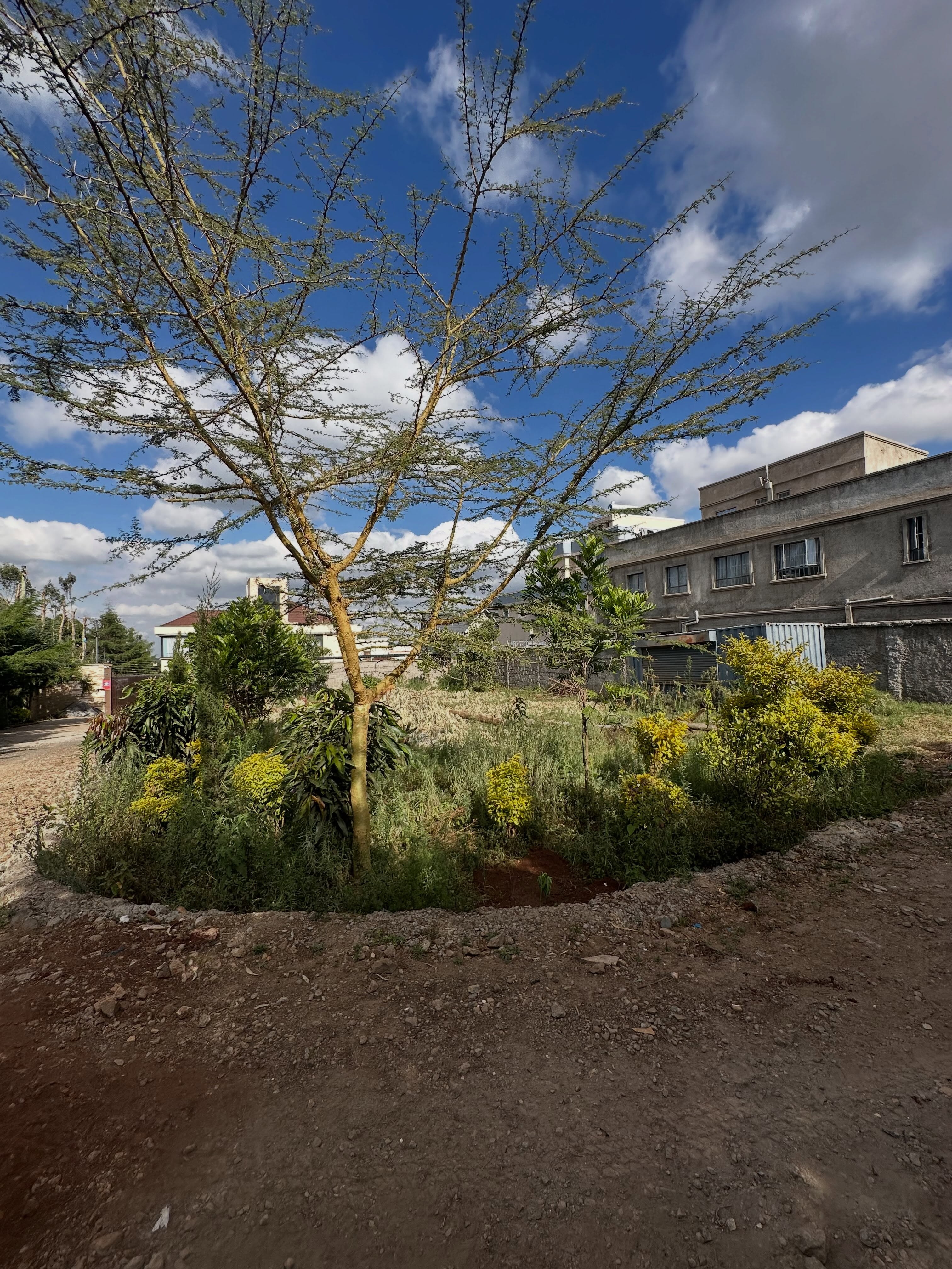 Prime 1/4 Acre Plots for Sale in kerarapon
