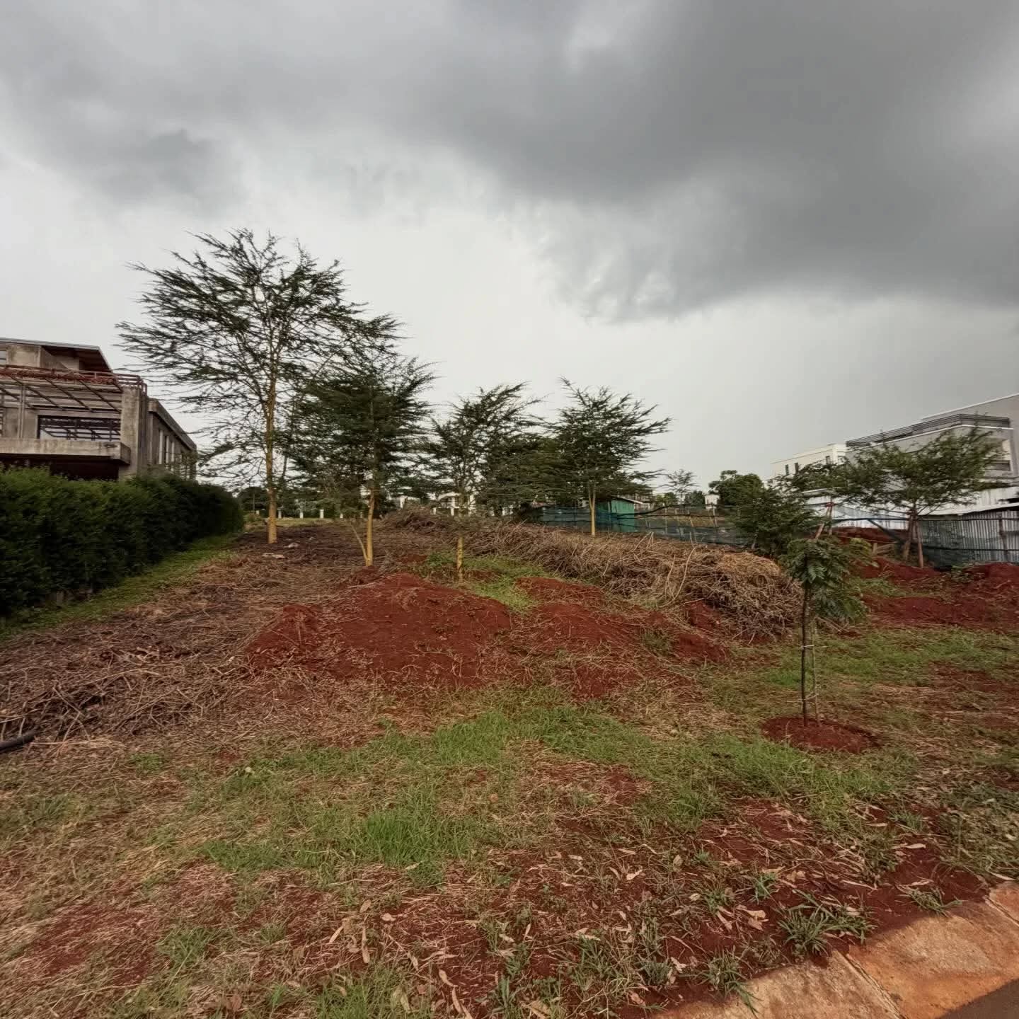 Prime 1/4 Acre Plots for Sale in Kijani Ridge, TATU CITY