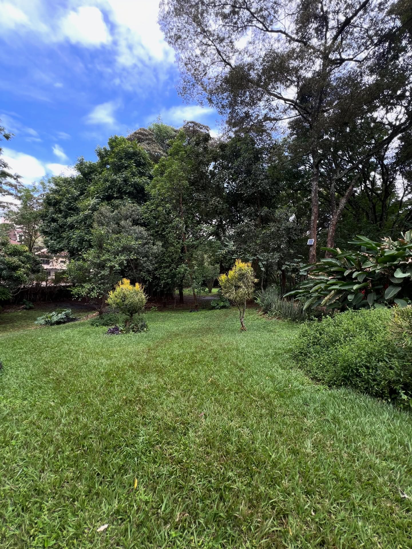 Prime 1.4acre land for sale in the leafy suburb of lavington area Image