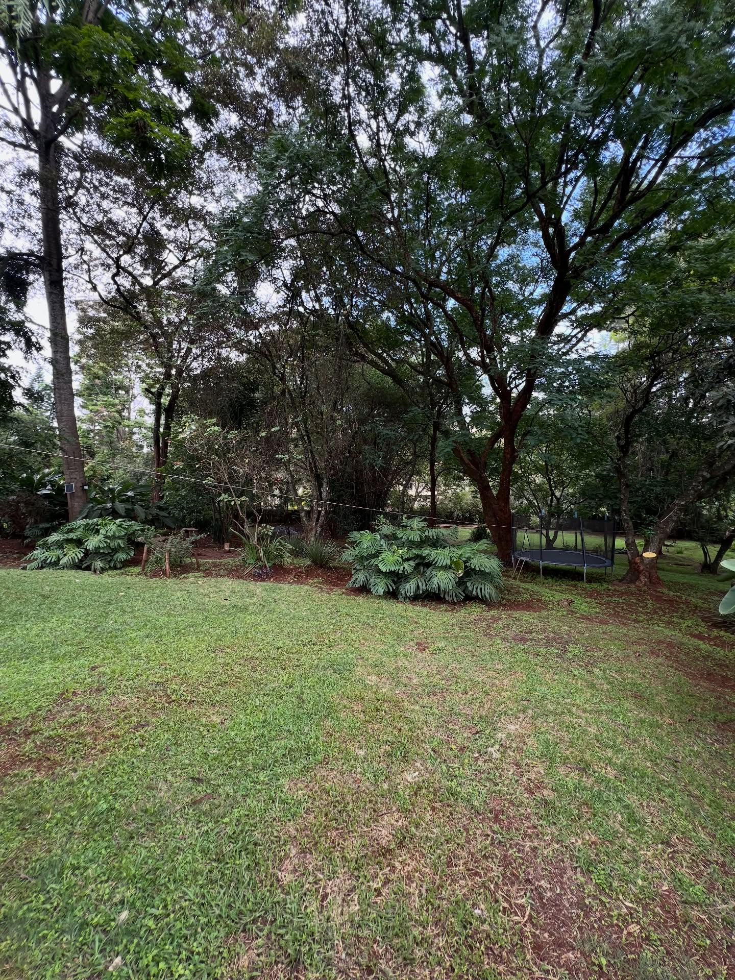 Prime 1.4acre land for sale in the leafy suburb of lavington area Image