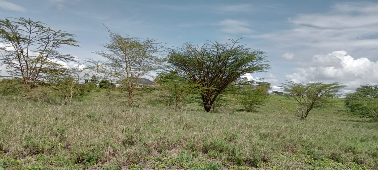 PRIME 1.5 ACRES FOR SALE, IN ISINYA, FOR MIXED FARMING