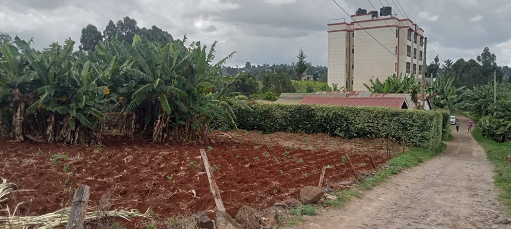 Prime 1/8 Acre Plot, Ruaka for Sale