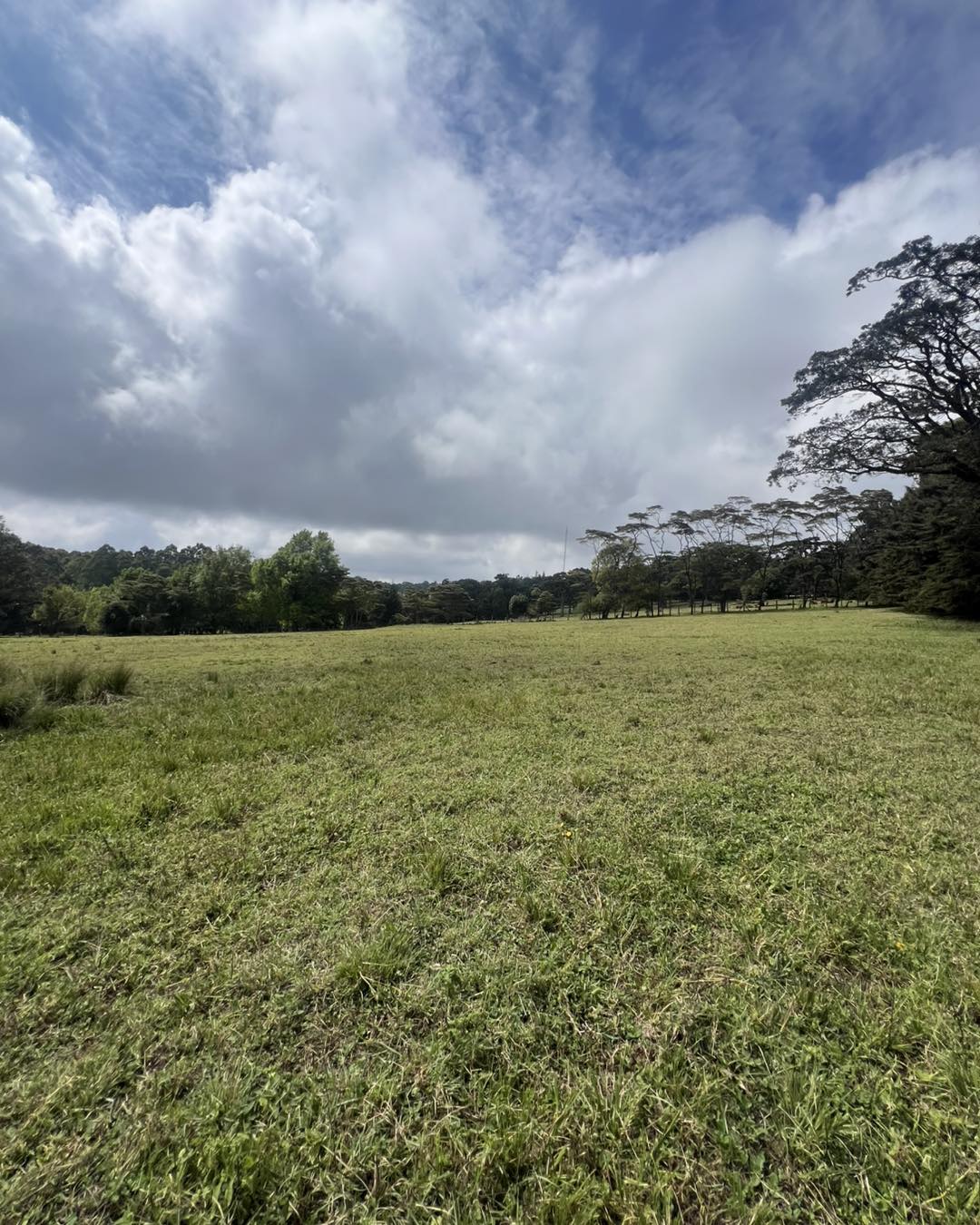 Prime 1/8-Acre Plots Available For Sale in Serene Tigoni Estate Image