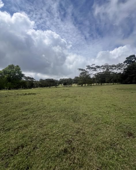 Prime 1/8-Acre Plots Available For Sale in Serene Tigoni Estate Image