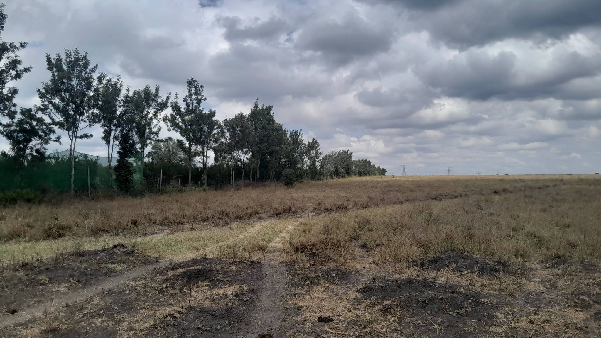 prime 196 acre land for sale in kiserian, isinya road Image