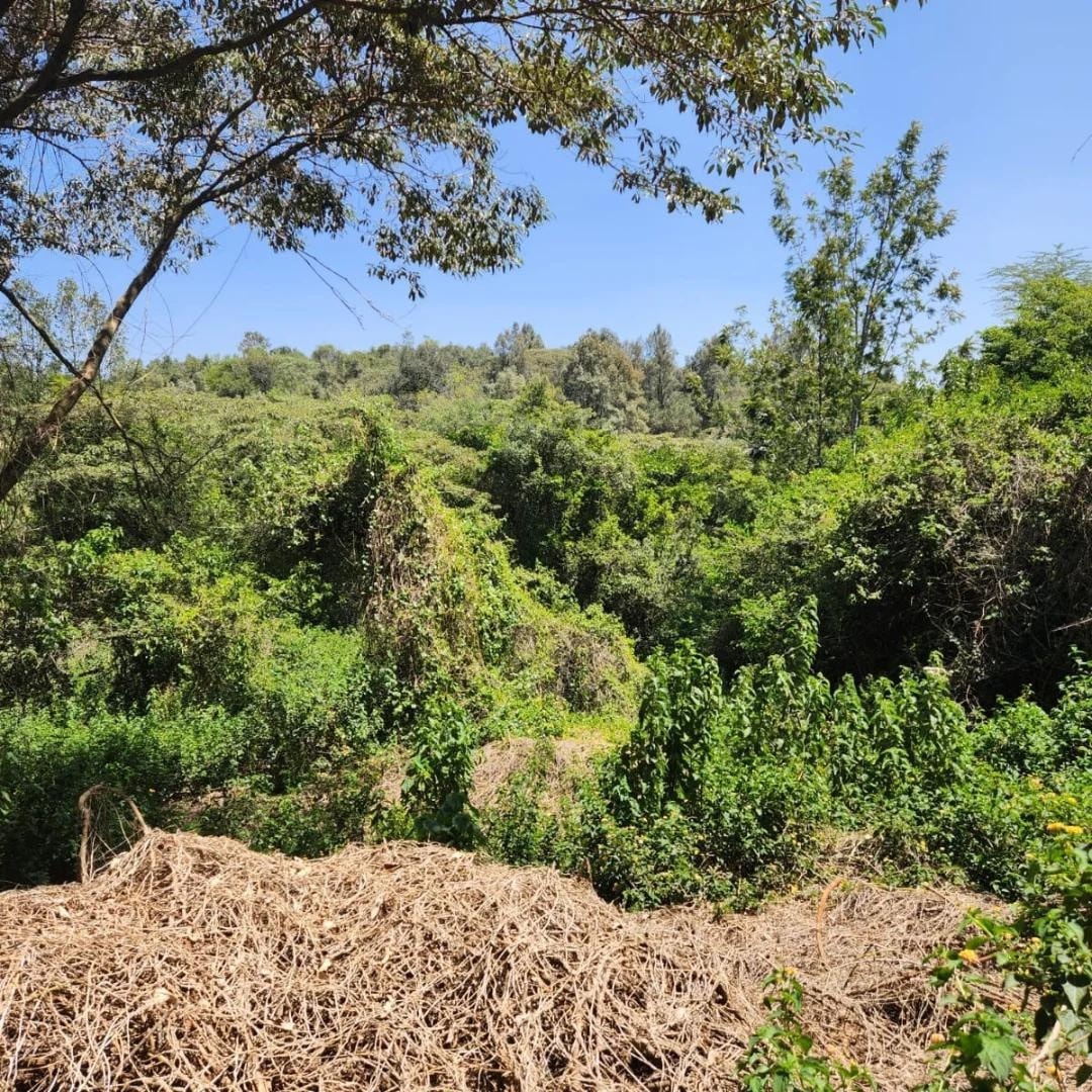 Prime 2-Acre Land For Sale in Hardy, Karen