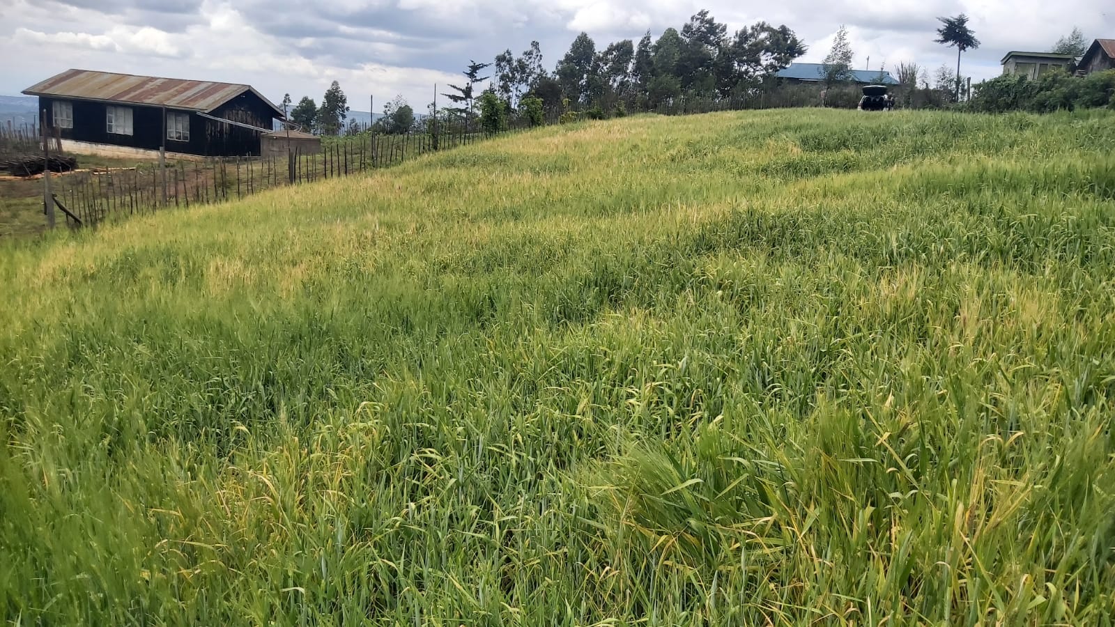 prime 2 acre land for sale in Kipipri