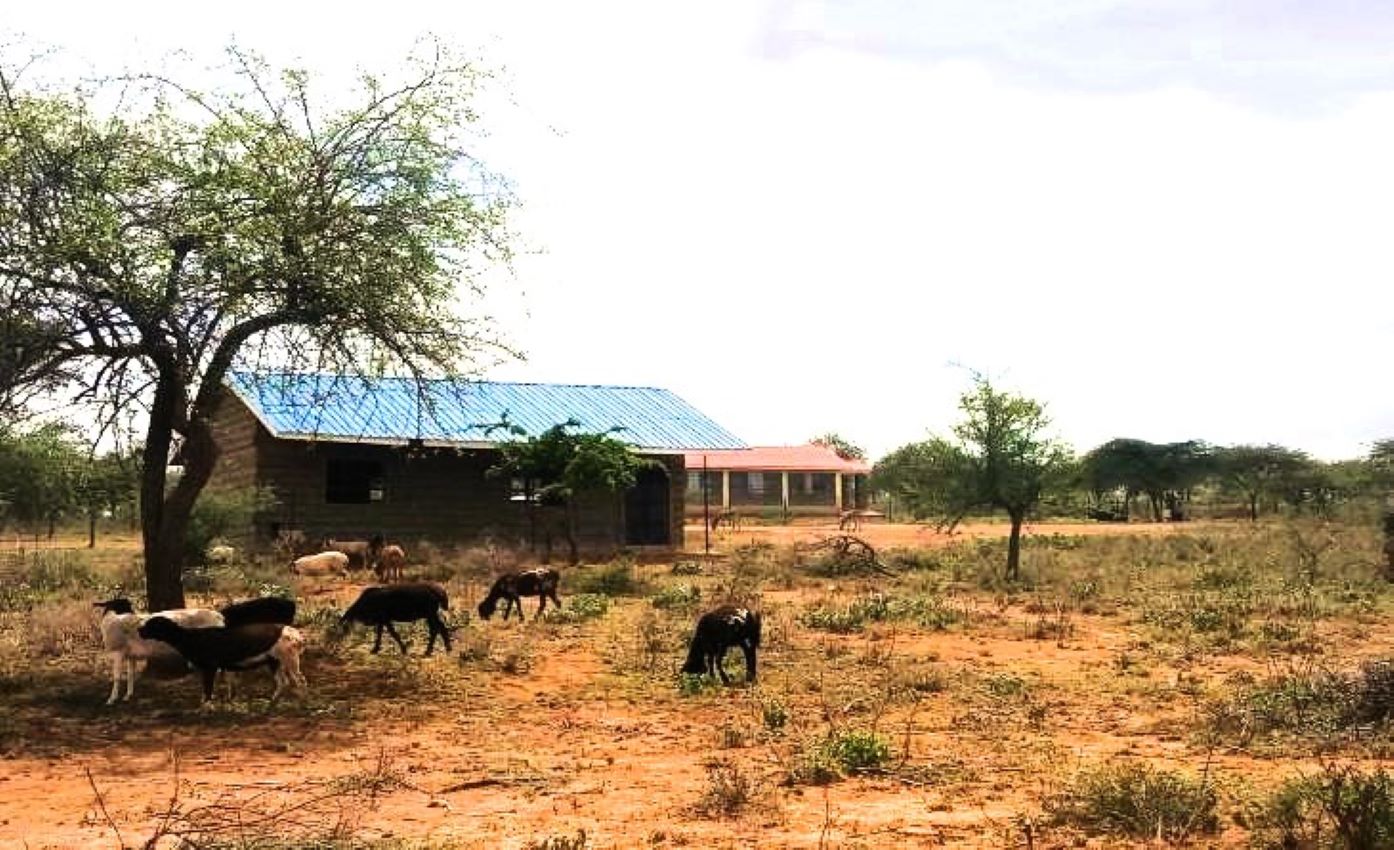 PRIME 2 ACRES FOR SALE, IN GATATAEK (NAMANGA) FOR HOME & FARMING