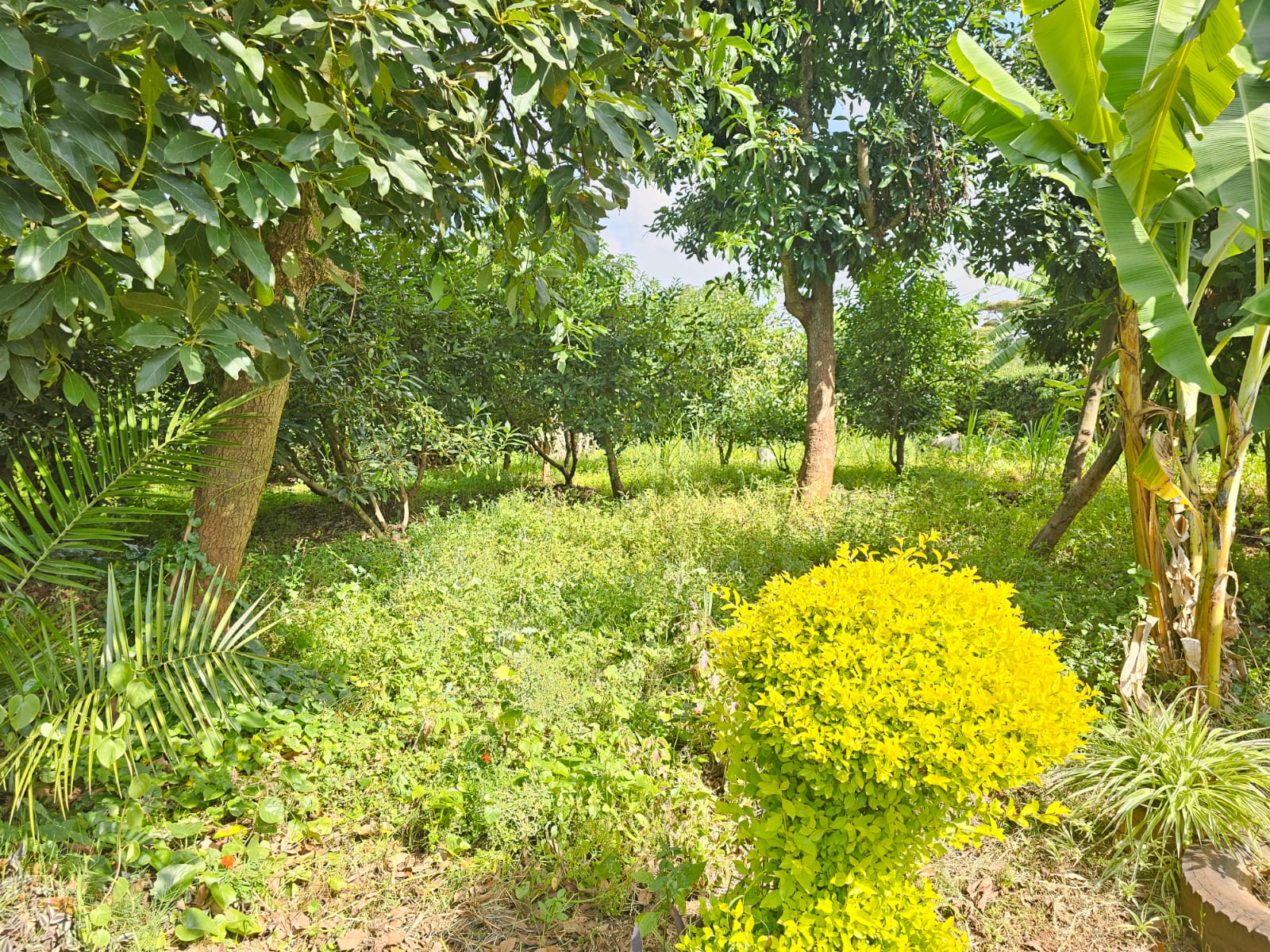 Prime 2 Acres For Sale in Ngong – Ololua Image