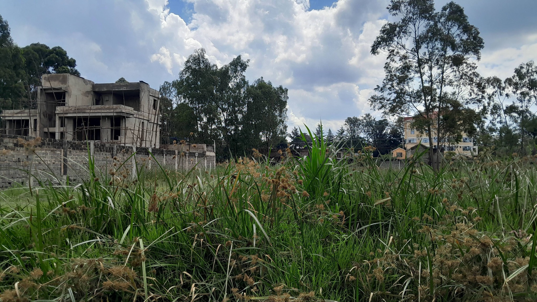 PRIME 2 ACRES LAND FOR SALE IN KIRIGITI, KIAMBU