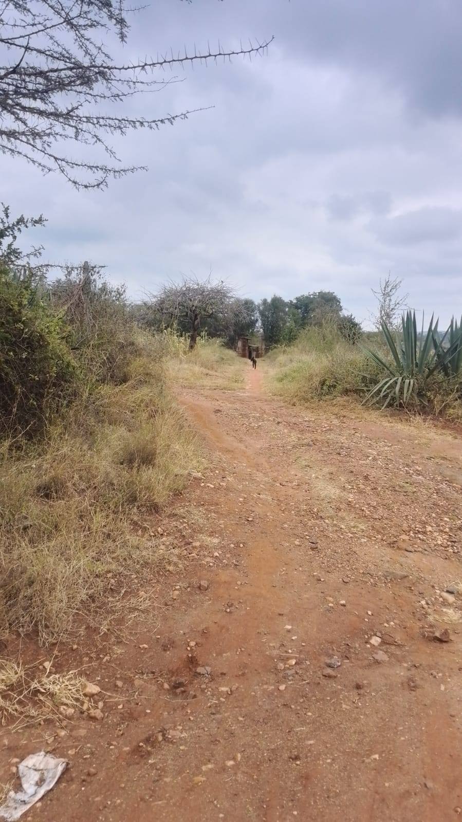 Prime 2 Acres of Land for Sale – Konza City (Malili, 9km from Mombasa Road) Image