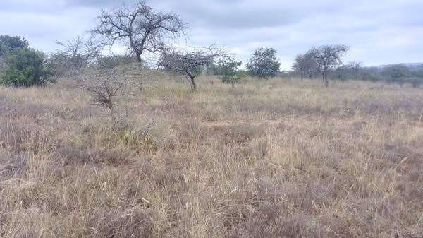 Prime 2 Acres of Land for Sale – Konza City (Malili, 9km from Mombasa Road)