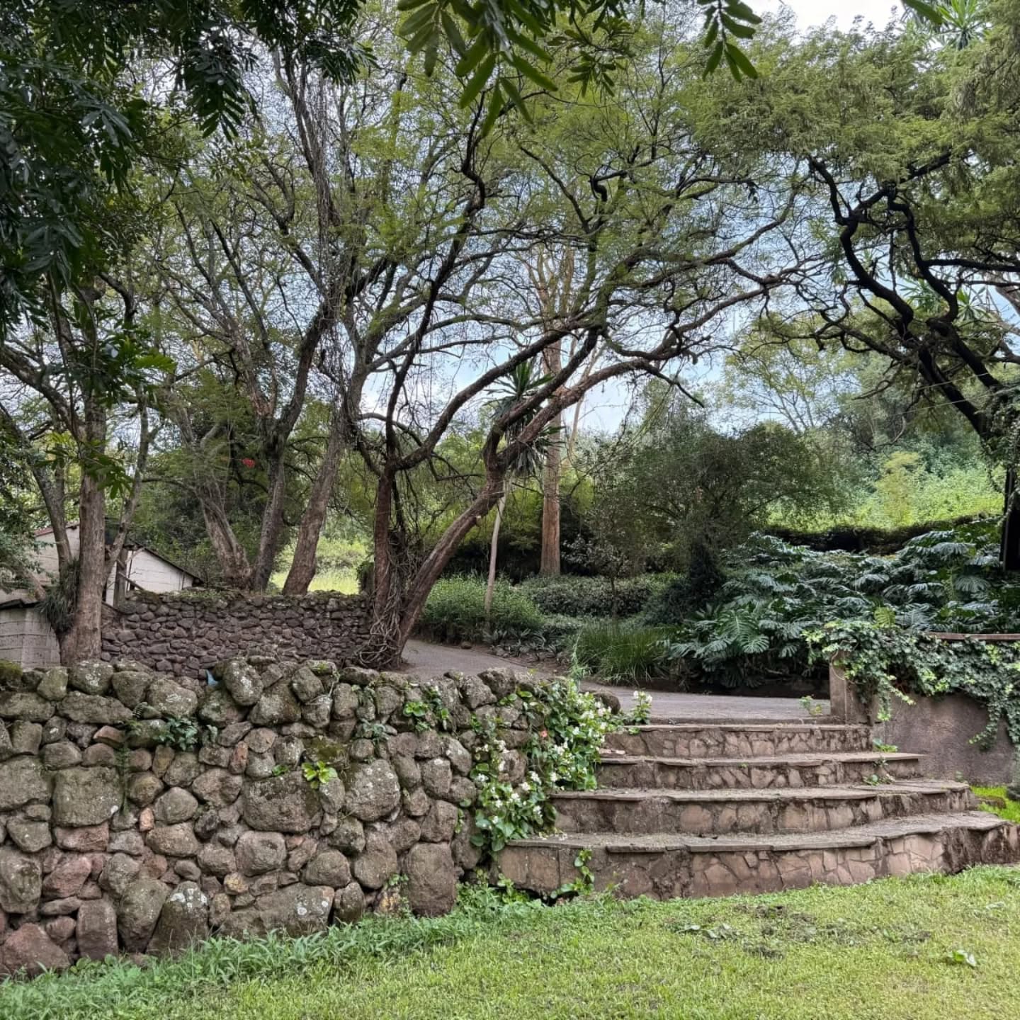 Prime 20 Acres Land for Sale in Nakuru, Kenya Image