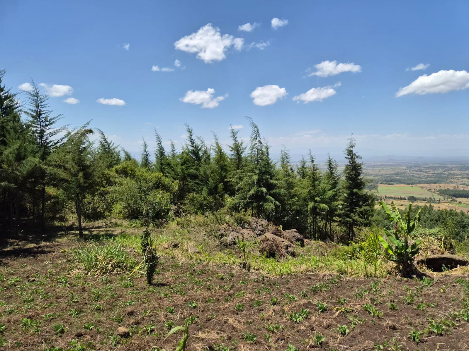 prime 20 acres plot for sale in miti-mingi Nakuru Image