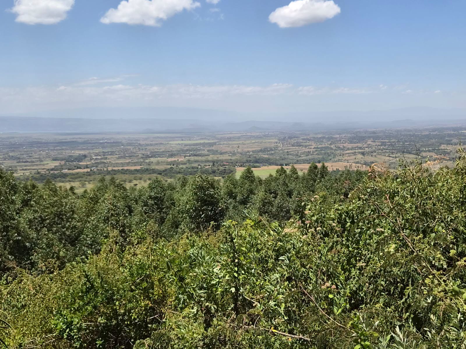 prime 20 acres plot for sale in miti-mingi Nakuru