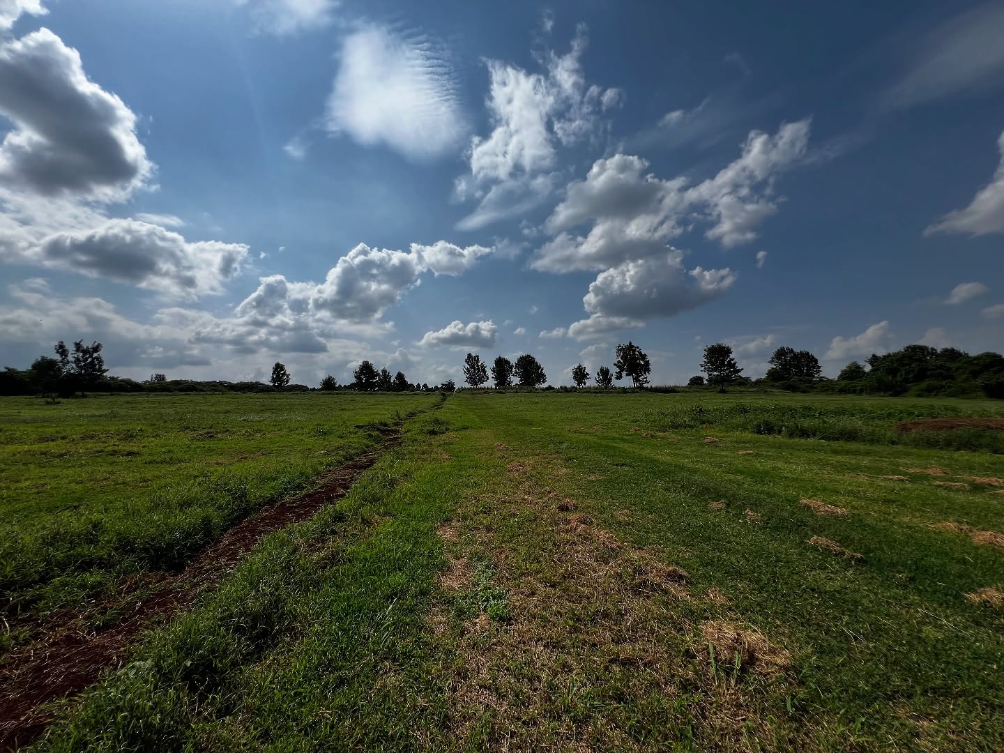 Prime 24 acre land for sale in Runda off Kiambu rd