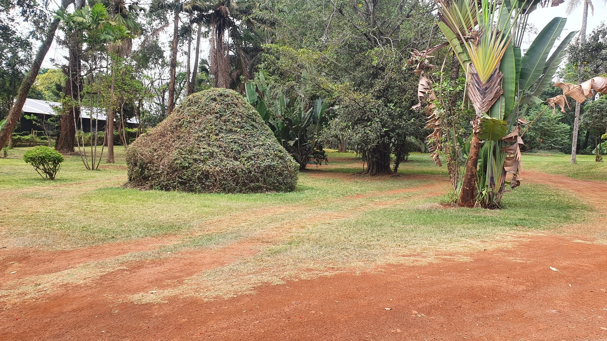 Prime 2.5-Acre Plot for Sale in Runda (Off Kiambu Road) Image