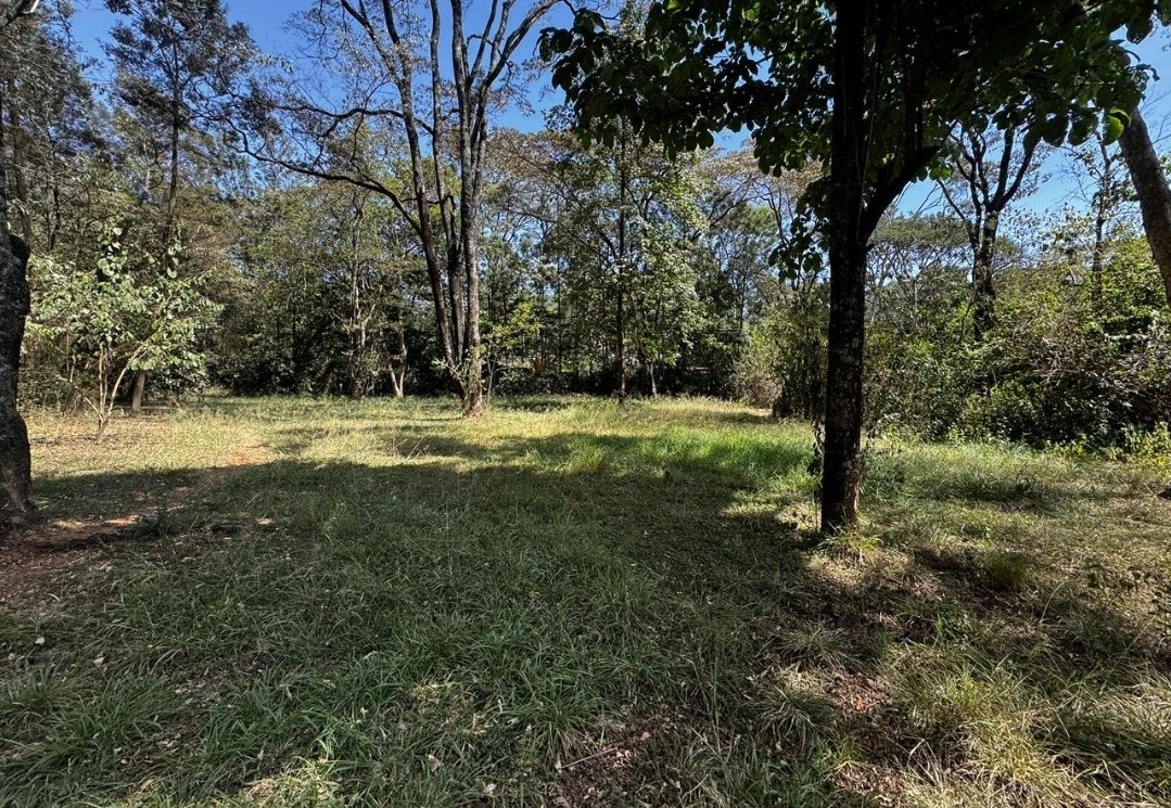 Prime 2.7 Acres Land For Sale in Karen Windy Ridge