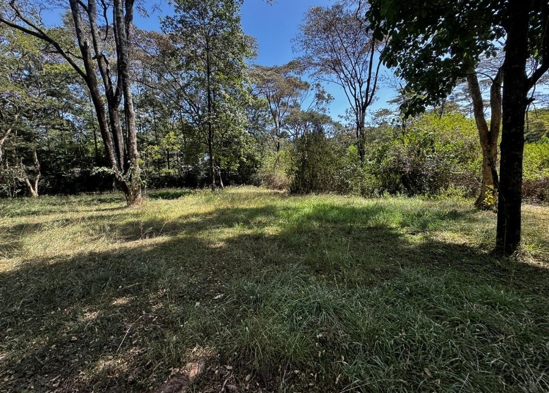 Prime 2.7 Acres Land For Sale in Karen Windy Ridge Image
