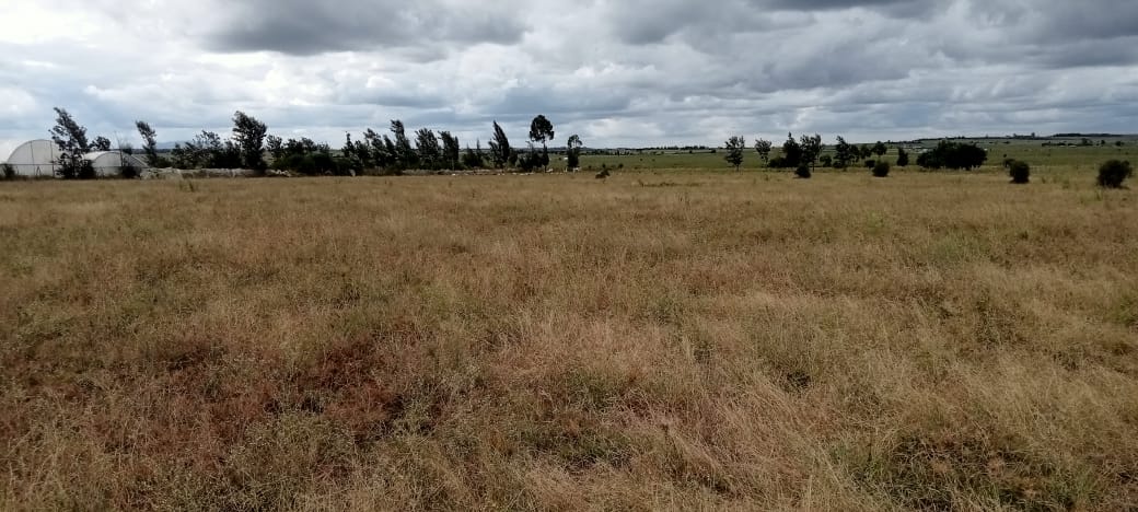 PRIME 3 ACRES LAND FOR SALE IN ISINYA, KAJIADO COUNTY