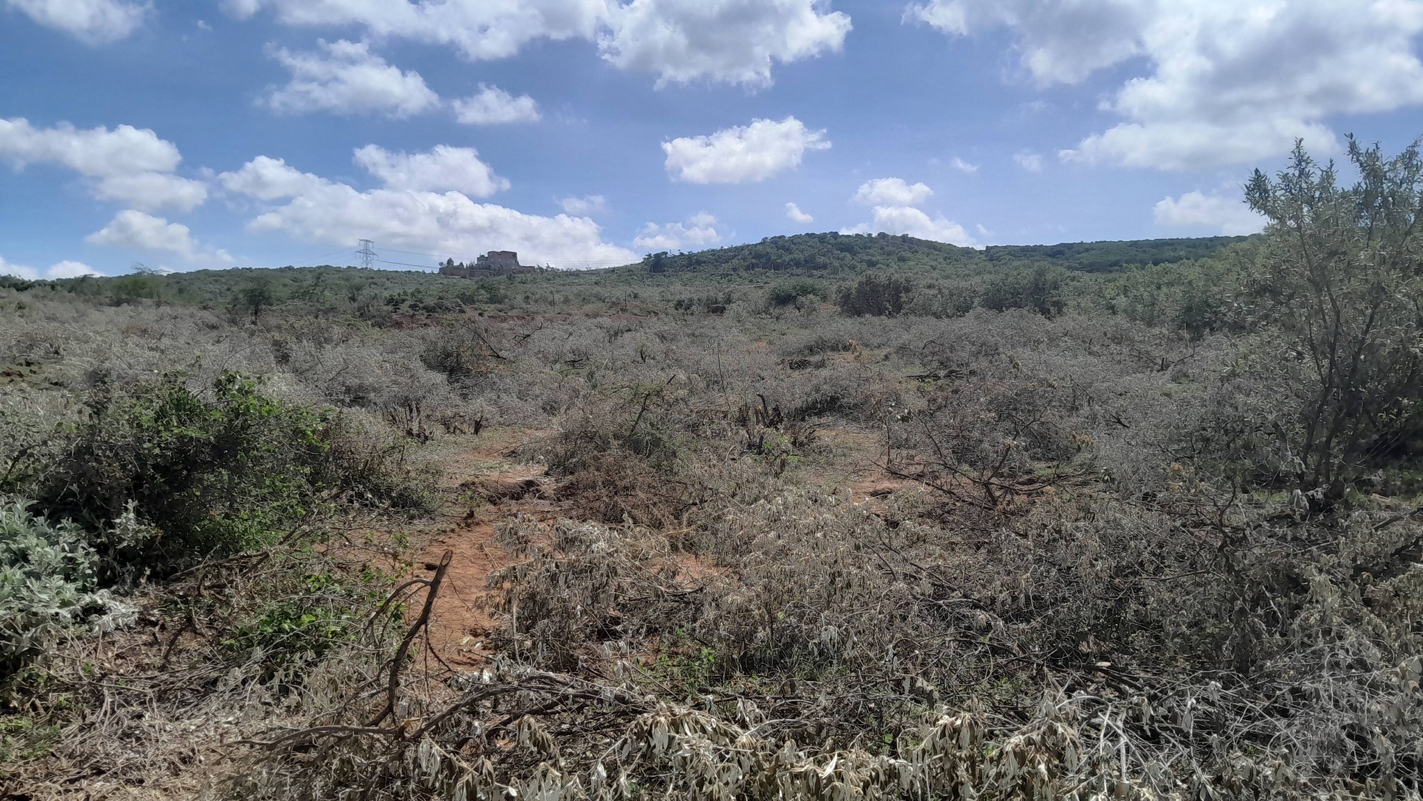 PRIME 3 ACRES LAND FOR SALE – NDIGIRO, KIMUKA (NGONG) Image