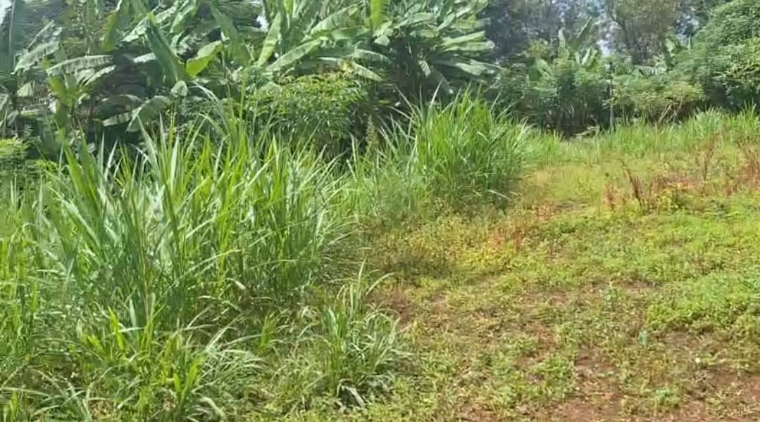 Prime 3.2 Acre Plot for Sale in Karen Near The Hub Image