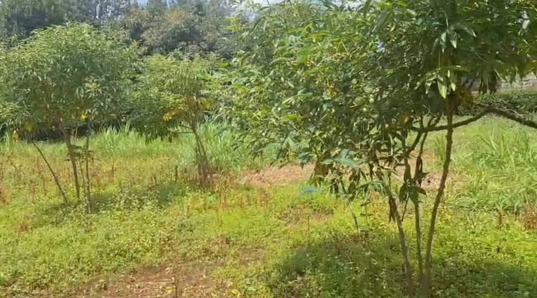 Prime 3.2 Acre Plot for Sale in Karen Near The Hub