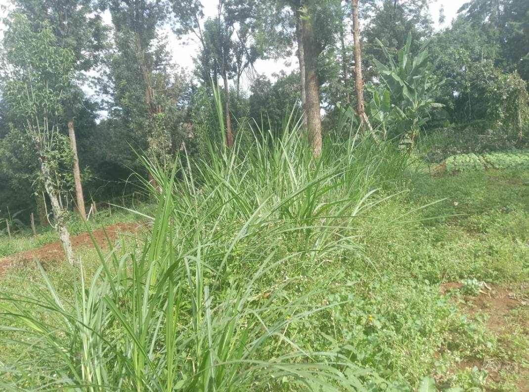 Prime 3.2 Acres Land for Sale in Karen Image