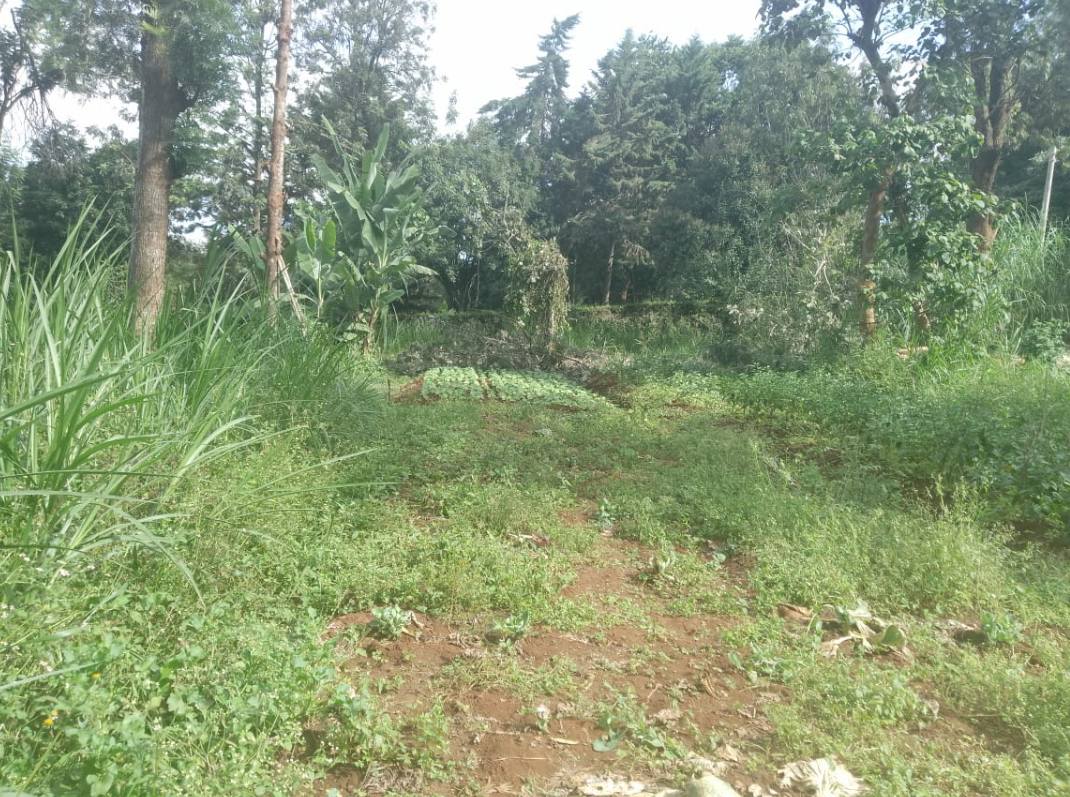 Prime 3.2 Acres Land for Sale in Karen Image
