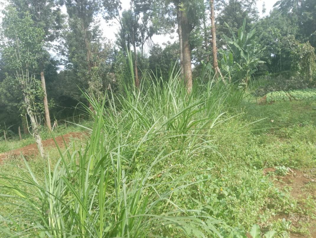 Prime 3.2 Acres Land for Sale in Karen