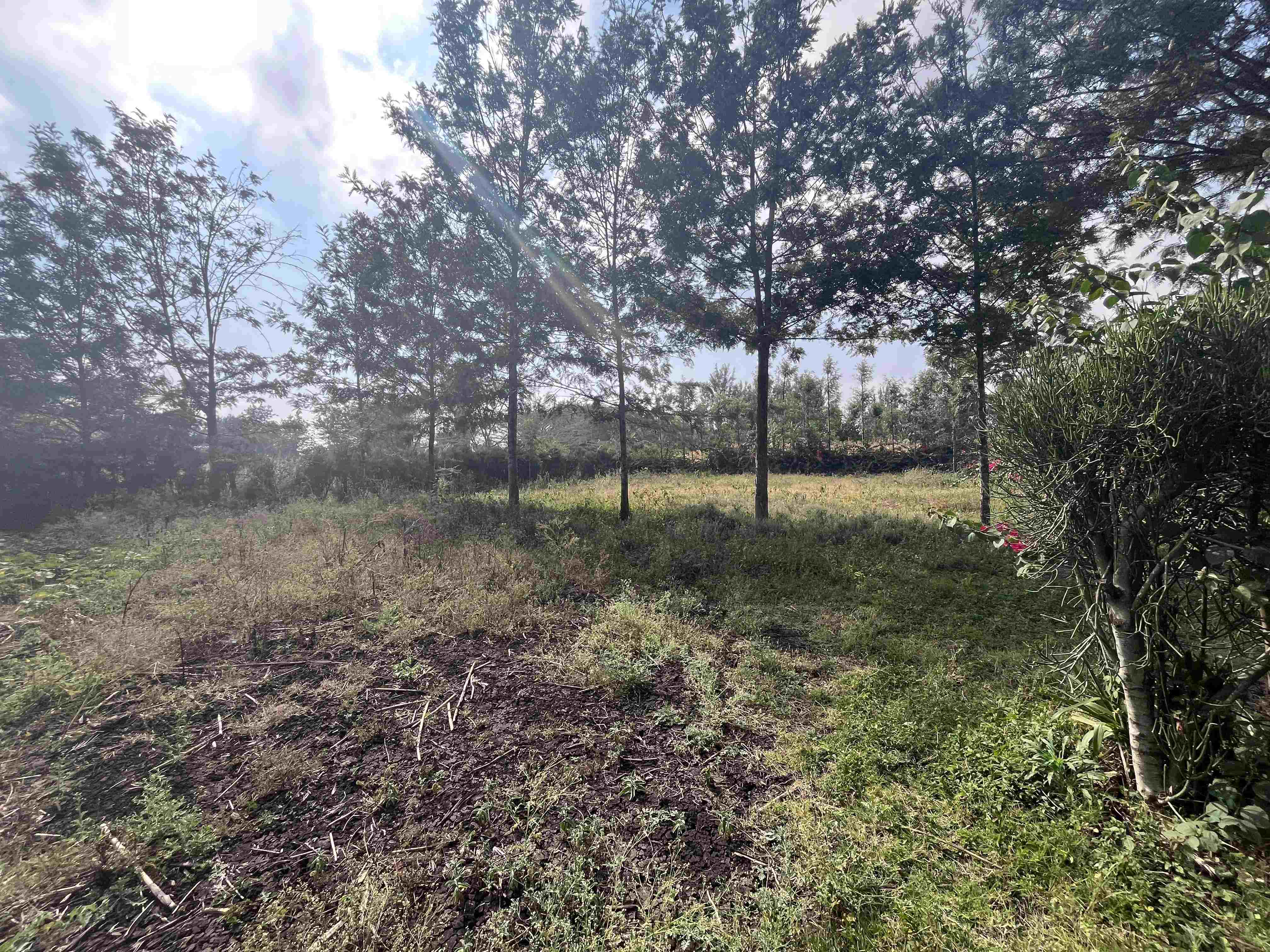 Prime 3/4 Acre Land for Sale in Rimpa, Ngong – Ready for Development! Image