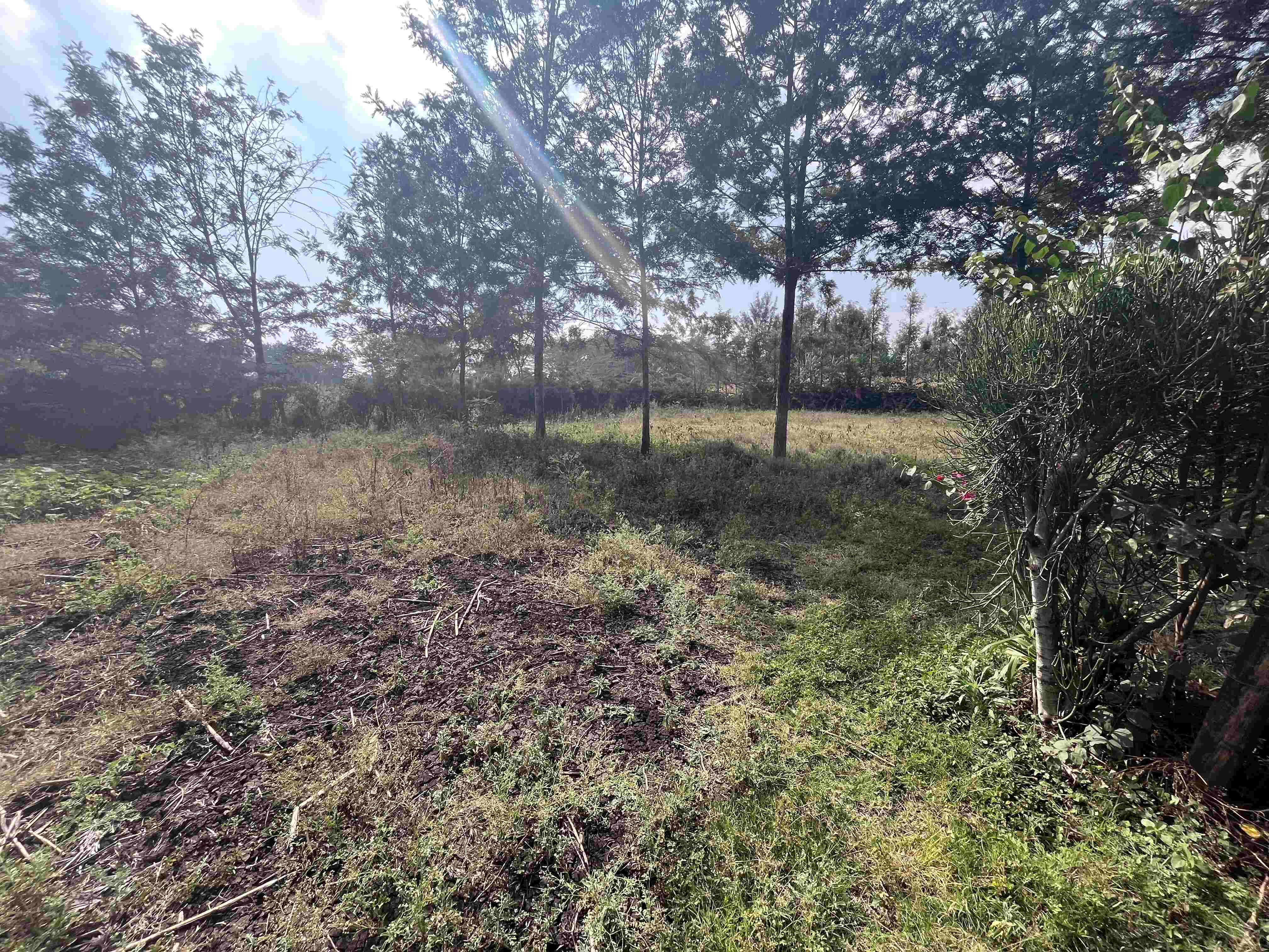 Prime 3/4 Acre Land for Sale in Rimpa, Ngong – Ready for Development!
