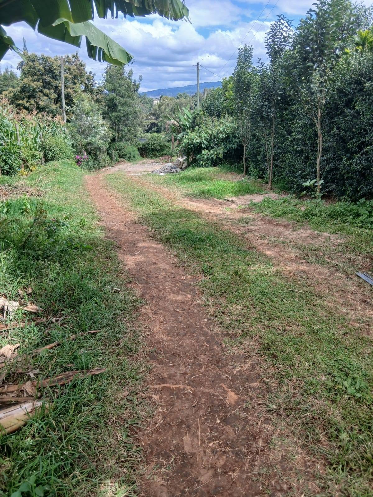 PRIME 3/8 ACRE PLOT FOR SALE IN KERARAPON DRIVE Image