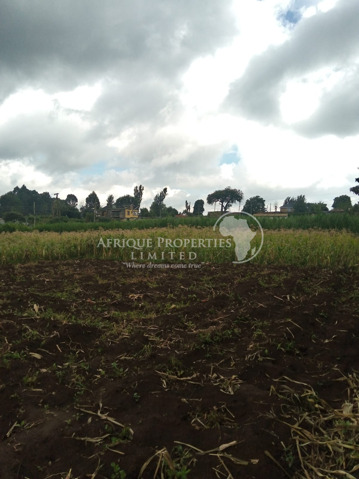 Prime 4 Acre Land For Sale in Kikuyu Image