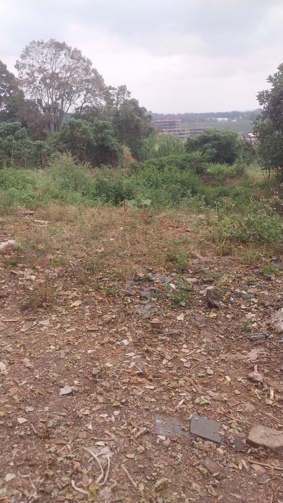 prime 4 acre land for sale in loresho
