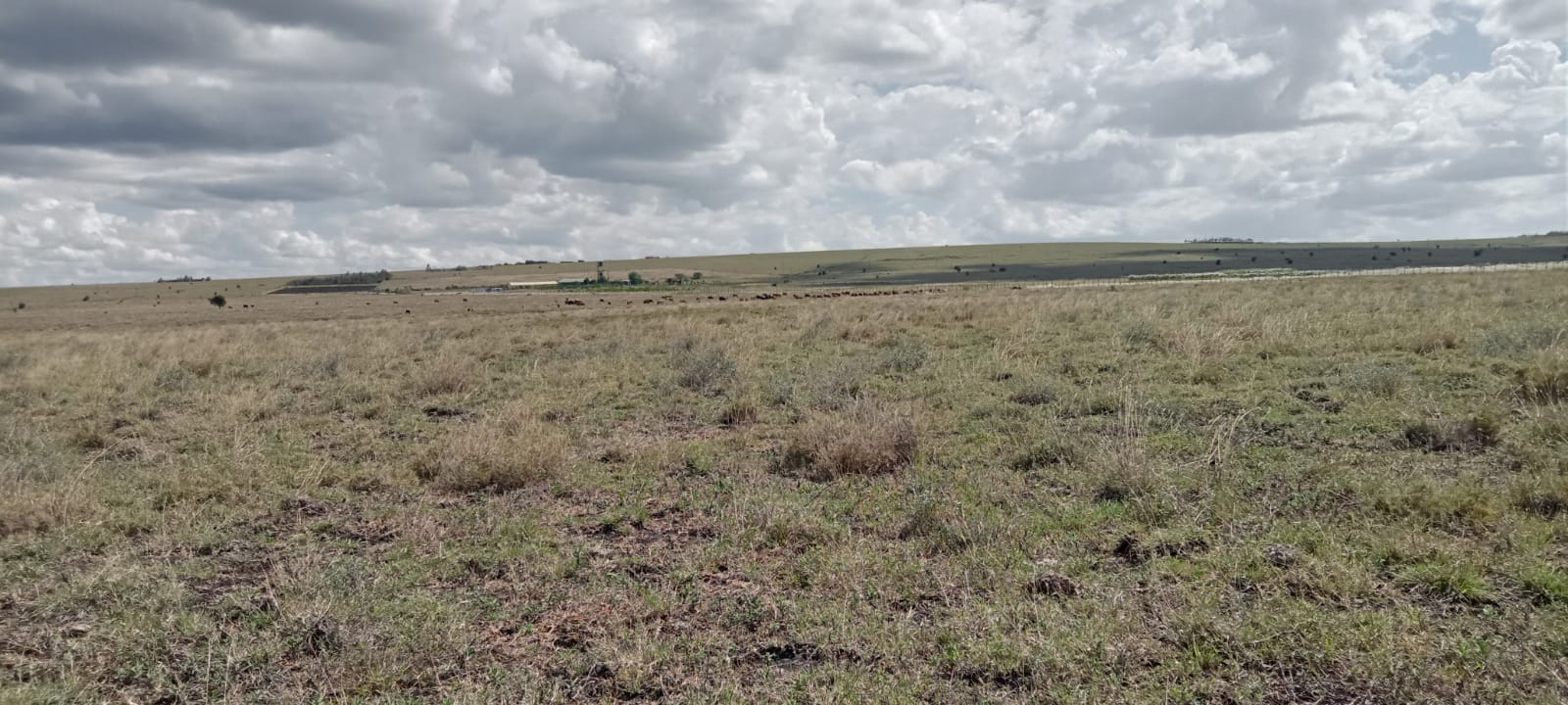 PRIME 4 ACRES FOR SALE, IN ISINYA, FOR MIXED FARMING