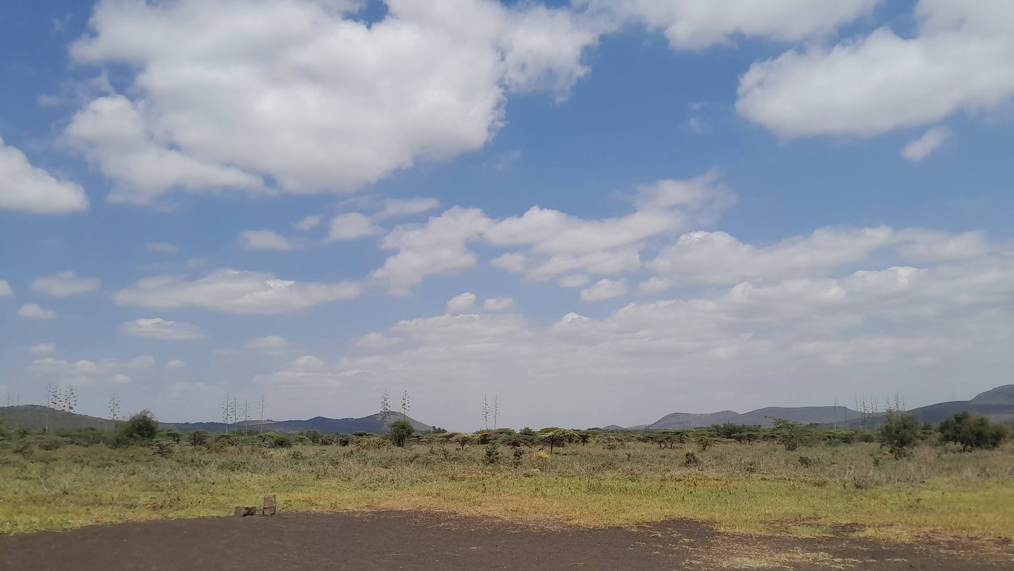 PRIME 49 ACRES OF LAND FOR SALE IN KISAMIS