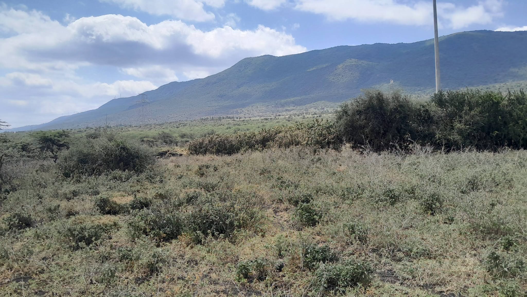 PRIME 49 ACRES OF LAND FOR SALE IN KISAMIS Image